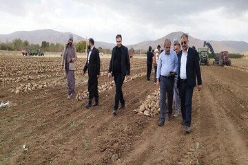 بازدید رییس کمیسیون کشاورزی مجلس از طرح‌های تولیدی و زیرساختی پیرانشهر