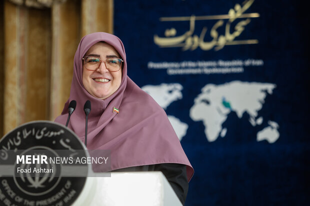 نشست خبری سخنگوی دولت 2