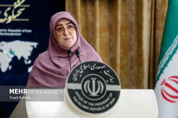 نشست خبری سخنگوی دولت 8