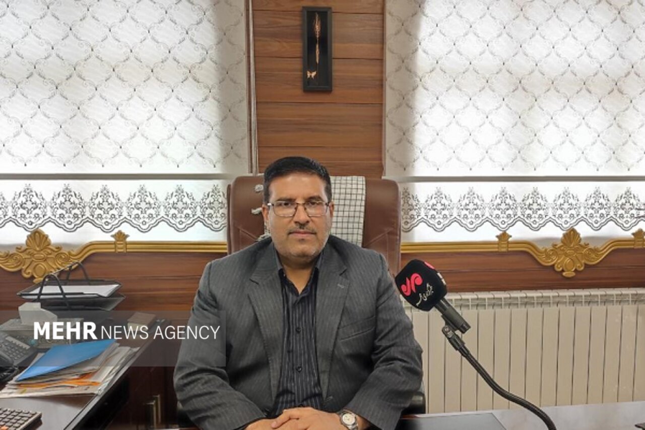 گندم،تن،كشور،واردات،حامل