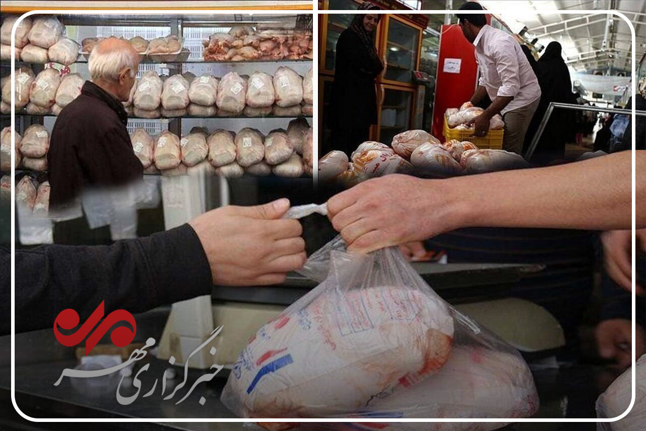 بازار مرغ گیلان در تب و تاب گرانی