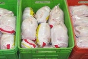 کشف ۲۲۰۰ تُن گوشت مرغ احتکار شده در شیراز