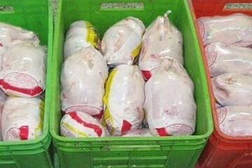 کشف ۲۲۰۰ تُن گوشت مرغ احتکار شده در شیراز