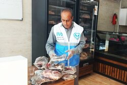 اسکندری: ۱۵واحد متخلف کشتار و عرضه غیرمجاز دام وطیور در زاهدان پلمب شد