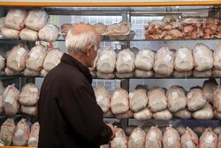 خودکفایی در تولید مرغ؛ غفلت از ترویج مصرف آبزیان در خراسان رضوی