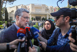 ظفرقندی: پلتفرم‌های حمل دارویی در مرحله عملیاتی قرار می‌گیرند