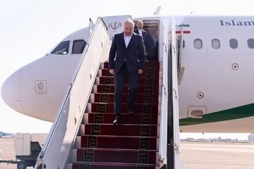 رئیس مجلس شورای اسلامی وارد مشهدمقدس شد