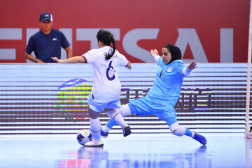 Farzaneh Tavassoli