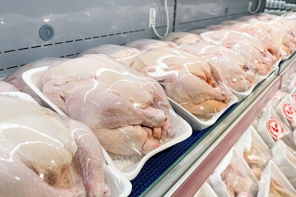 «مرغ» پرندهای که پرواز قیمتش سفرهها را سبک کرده است