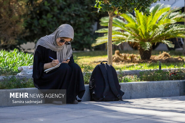 حاشیه جلسه هیئت دولت