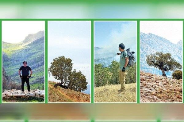 بقای زاگرس در گرو درختان بلوط بقای زاگرس در گرو درختان بلوط