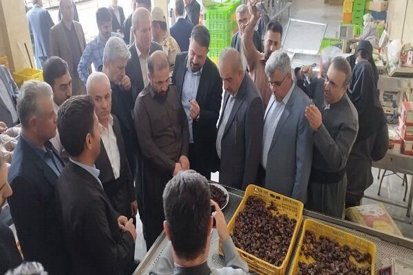 بازدید رییس کمیسیون کشاورزی مجلس از واحدهای تولیدی سردشت بازدید رییس کمیسیون کشاورزی مجلس از واحدهای تولیدی سردشت