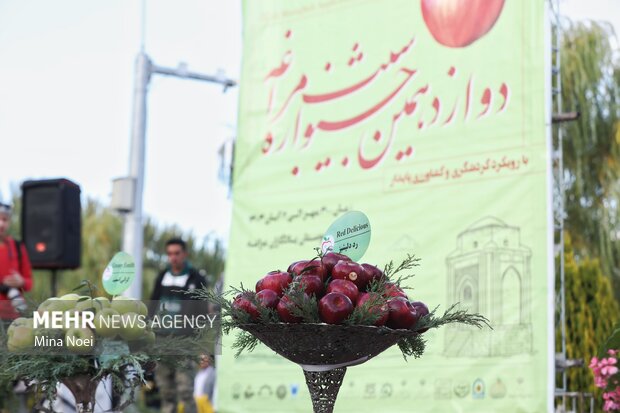 جشنواره سیب مراغه