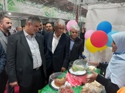 استاندار: پسته زرندیه طلای سبز صادراتی در مسیر جهانی شدن است