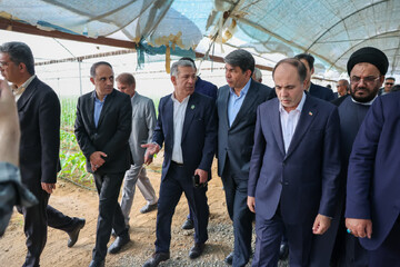 وزیر جهاد کشاورزی از یک مجموعه گلخانه‌ای در جیرفت بازدید کرد