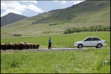 جایزه جشنواره ایدرومنو به «دشت می‌خواند» رسید