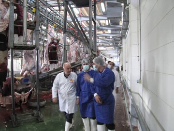 زمانی: نظارت مستمر بر کشتارگاه‌های دام ضامن سلامت عمومی است