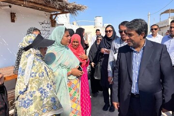 صادقی پور: توسعه پایدار جزایر با حفظ محیط زیست امکان پذیر است