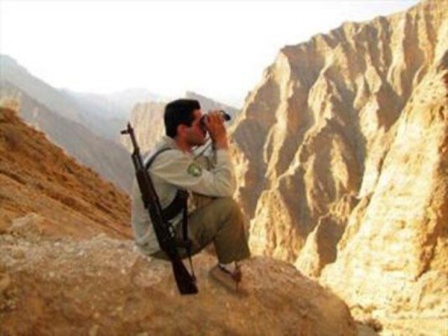 محمدی: گشتهای شبانه محیط زیست سنندج برای مقابله با شکارچیان اجرا شد محمدی: گشتهای شبانه محیط زیست سنندج برای مقابله با شکارچیان اجرا شد