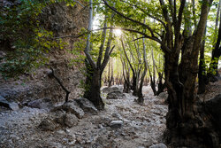 Tang Gancei; Zagros’un kalbinde, Yasuc’un doğal mücevheri