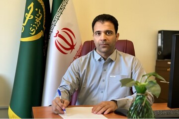 نارویی: ۳۴۳ هزار اصله نهال برای توسعه باغات سیستان و بلوچستان تولید شد