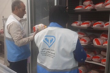 اسکندری: ۷۵۰ کیلوگرم فرآورده دامی غیرمجاز در زاهدان جمع آوری شد