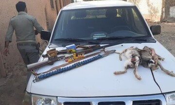 دستگیری شکارچیان متخلف در تپال شاهرود؛ ۲ خرگوش صحرایی شکار شد