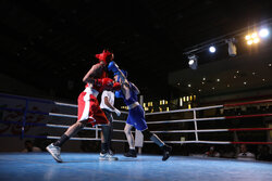 آیین اختتامیه مسابقات بوکس المپیاد کشور در اراک