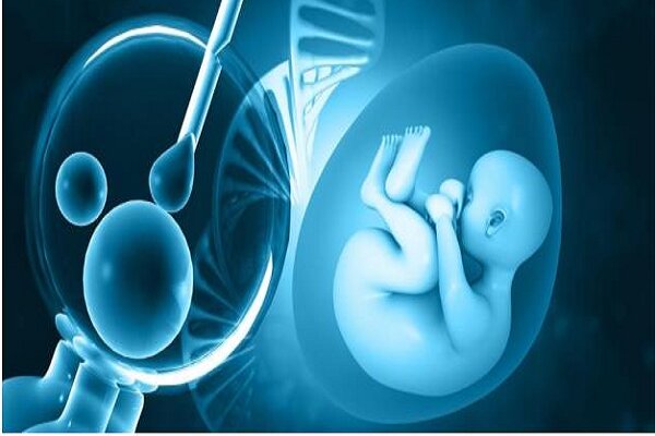 أطفال الأنابيب (IVF) ما هو؟