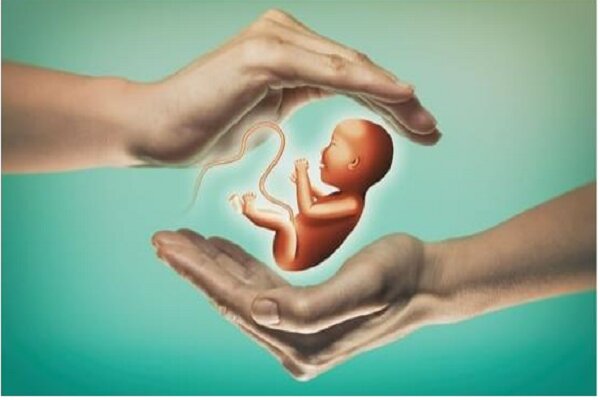 أطفال الأنابيب (IVF) ما هو؟