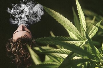 ذوالفقاری: لایحه جرم‌انگاری مواد مخدر نوظهور به مجلس می‌رود