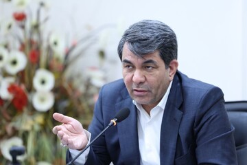 طالبی:  همایش بین المللی «بم پایتخت همدلی جهانی» برگزار می شود