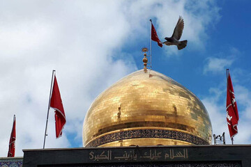 خدا لبخند زد، زینب(س) به دنیا آمد ای مردم!