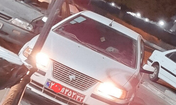 اکبری: برای عامل سگ‌گردانی با خودروی دولتی پرونده قضایی تشکیل شد