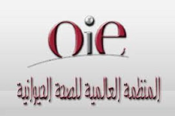 المنظمة العالمية لصحة الحيوان: إيران خالية من أنلفونزا الطيور
