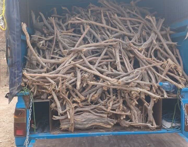 خودرو،طبيعي،منابع،مجن،تاغ،نيسان