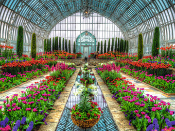 شکوفایی گلکاری در محلات؛ از چالش‌ها تا فرصت‌ها برای احیای سنتی کهن