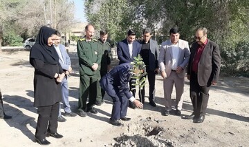 نهال سلامت در بیمارستان شهدای دهلران به مناسبت روز پرستار کاشت شد