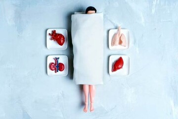 از غده میمون تا «خون جوان»؛ تاریخ عجیب پیوند عضو برای جاودانگی