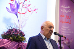 توکلی زاده:تمامی مراحل زنجیره ارزش زعفران تحت نظارت قرار گیرد