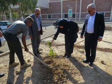 انجام پویش درختکاری به مناسب روز پرستار در بیمارستان کوثر سمنان