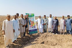 نهمین دوره ترویج الگوی کشت با رویکرد تغییر اقلیم در دلگان برگزار شد