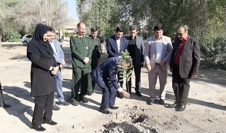 نهال سلامت در بیمارستان شهدای دهلران به مناسبت روز پرستار کاشت شد نهال سلامت در بیمارستان شهدای دهلران به مناسبت روز پرستار کاشت شد