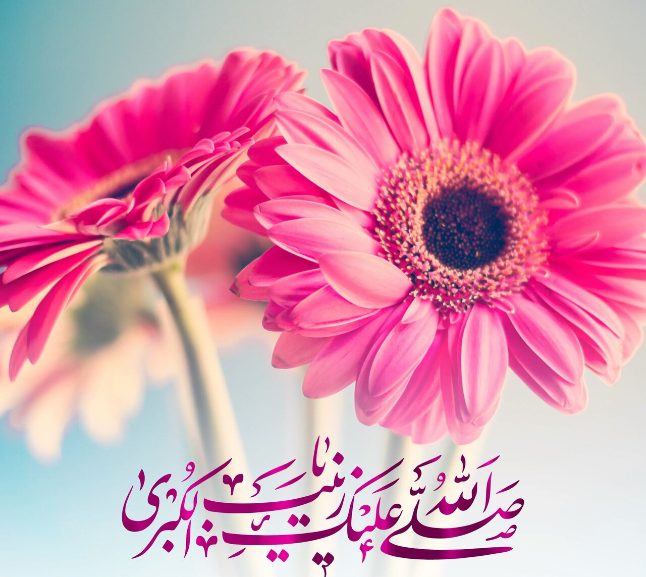 طهماسبی: حیات زینب (س) انعکاس آیات قرآن است