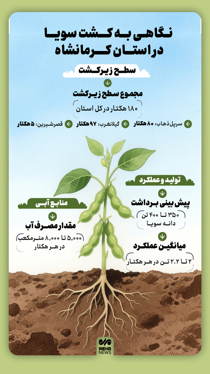 اینفوگرافیک؛ نگاهی به کشت سویا در استان کرمانشاه