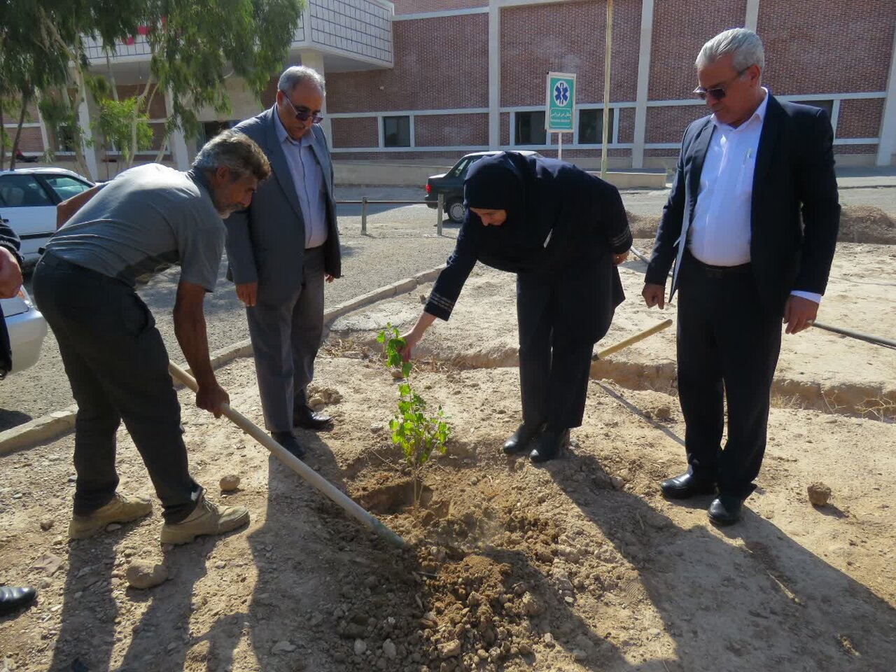 سمنان،كوثر،نهال،كاشت،بيمارستان،مراسم،حفظ