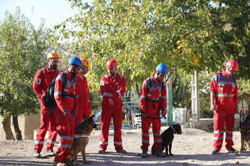 برگزاری دومین دوره آموزشی عملیاتی جستجو و نجات با سگ‌های امداد