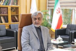 میرغضنفری: بیمه‌ها در ارتقای امنیت اجتماعی مردم نقش کلیدی دارند