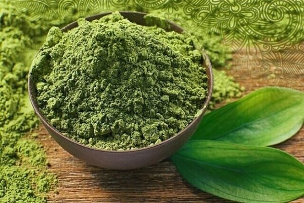 عطر درمان از دل کویر؛ سیستان و بلوچستان سرزمین گیاهان شفابخش 4