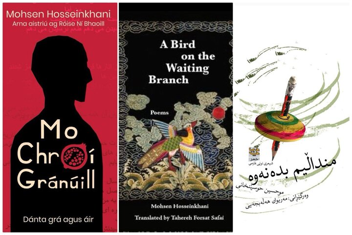 نزدیکی شعرهای «ماهبان» به شعر سهراب؛ شعرهایم به ایرلندی ترجمه شده است